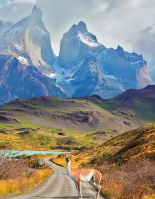 patagonia
