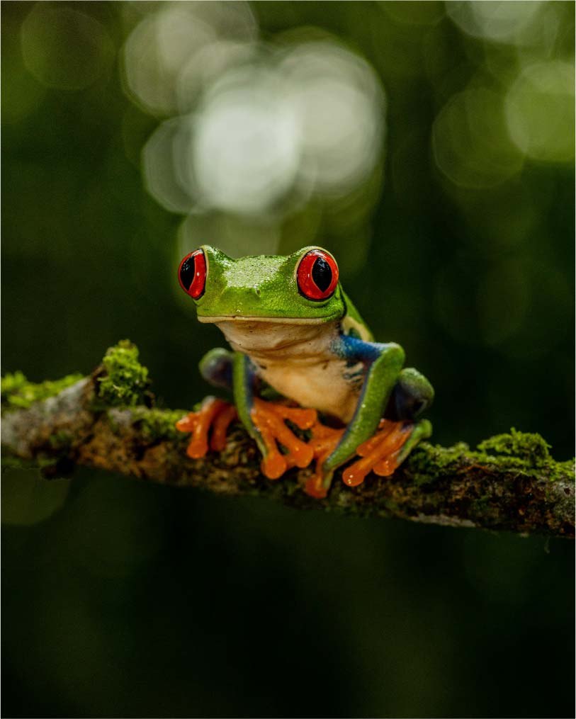 pexels jean paul montanaro 49563862 16672278